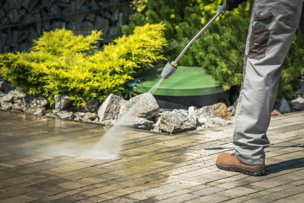Best Gas Station Cleaning  in Shields, MI