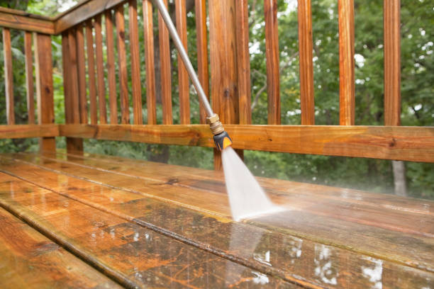 Best Dumpster Area Cleaning  in Shields, MI